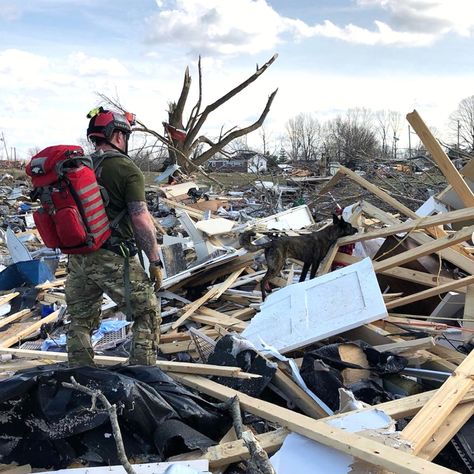 Search And Rescue Aesthetic, Pararescue Pjs, Bump Helmet, Usaf Pararescue, Tactical Medic, Search And Rescue Dogs, Air National Guard, Army Police, Military Working Dogs