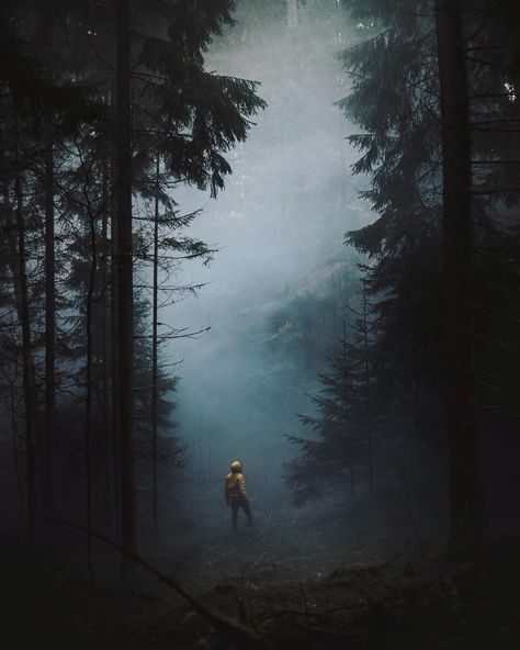 Alone in the Dark 🌑 Alone In The Dark, Iphone 6 Wallpaper, Misty Forest, Office Paper, Nature Adventure, Travel Alone, Urban Jungle, Dark Forest, Your Beautiful