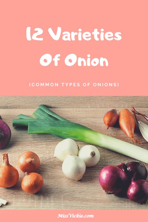 Varieties Of Onion via @missvickiecom Types Of Onions And Their Uses, Types Of Onions, Pearl Onions, Vidalia Onions, Spanish Onion, White Onion, Cooking Ingredients, Asian Cooking, Eating Raw