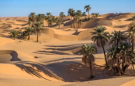 Desert Sahara, Desert Photography, Desert Life, Desert Oasis, In The Desert, Travel Goals, Wanderlust Travel, Nature Travel, Watercolor Landscape