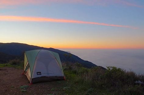 Big Sur Hiking, Big Sur Camping, Pacific Coast Road Trip, How To Camp, Los Padres National Forest, Forest Map, California Roadtrip, Big Sur California, Sequoia National Park