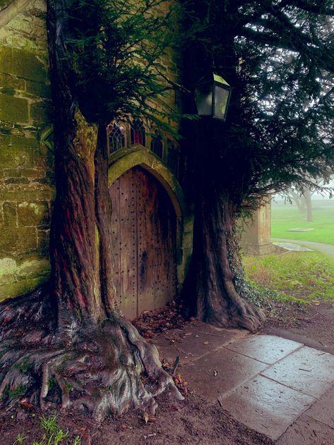 Home / Twitter Door To Moria, Black Rock Desert Nevada, Fly Geyser, Relaxing Images, Real Fairies, England Aesthetic, Black Rock Desert, Medieval England, Magic Castle