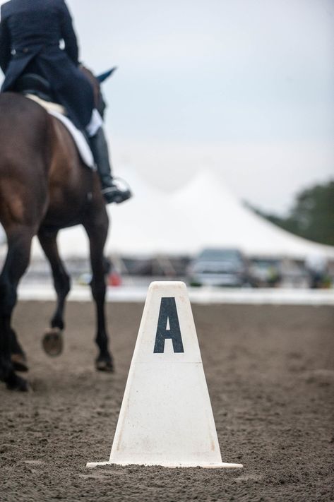 Dressage aesthetic. Basic Training, Dressage, The Basics, Equestrian, To Learn, Skin, Black