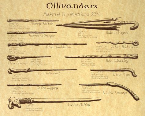 While a correlation between wand type and Hogwarts class might not be canon, we are still suckers for a Harry Potter quiz :) Harry Potter Wands Types, Hogwarts Classes, Wand Woods, Imprimibles Harry Potter, Rubeus Hagrid, Harry Potter Quiz, English Summer, Harry Potter Spells, Wizard Wand