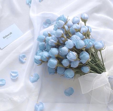 Turquoise Aesthetic, Baby Blue Wallpaper, Cute Blue Wallpaper, Baby Blue Aesthetic, Light Blue Aesthetic, Blue Wallpaper Iphone, Color Vibe, Blue Tulips, Light Blue Flowers