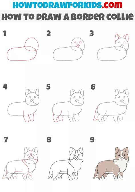 How To Draw A Border Collie, How To Draw A Border Collie Step By Step, Border Collie Drawing Easy, Draw Border Collie, Border Collie Sketch Drawings, Border Collie Doodle, Border Collie Painting Easy, Border Collie Cartoon, Border Collie Art