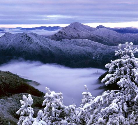 PyeongChang2018 ! ❄⛄❄⛄ Pictured here, a beautiful view of Hambaek Mountain located in Gangwon province in South Korea where PyeongChang will host the XXIII Olympic Winter Games in 2018. Korea Tourism Organization Korea Tourism, The Olympic Games, Winter Games, South Asia, Beautiful View, Winter Olympics, Olympic Games, Beautiful Views, South Korea