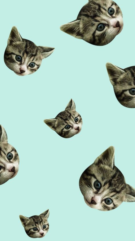 #cat #green #tosca #walpaper Tosca Aesthetic, Tosca Wallpaper, Cat Lovers Wallpaper, Cat Tattoo Design, Creative Wallpapers, Green Tosca, Cats Tattoo, Wallpaper Wa, Cat Tattoos