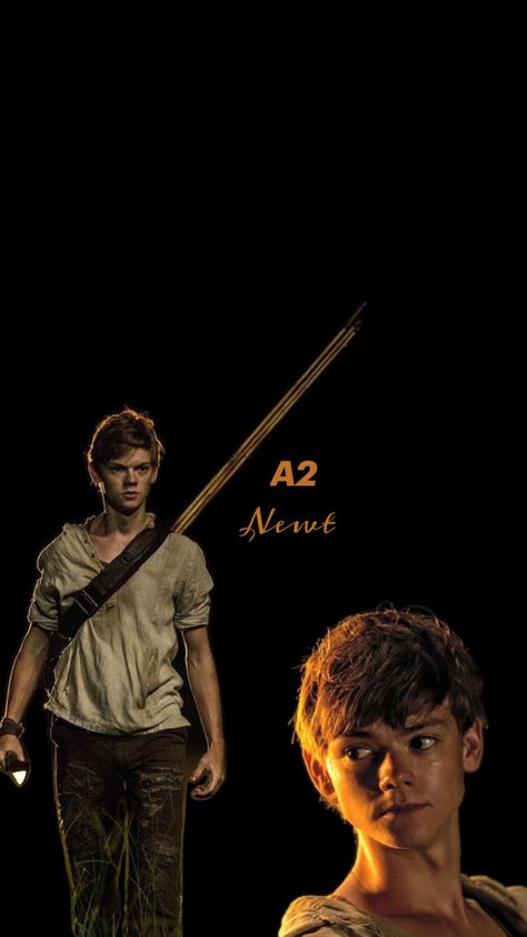 Maze Runner Cast, Newt Maze Runner, Thomas Sangster, Thomas Brodie, Thomas Brodie Sangster, Newt, Maze Runner, Teen Wolf