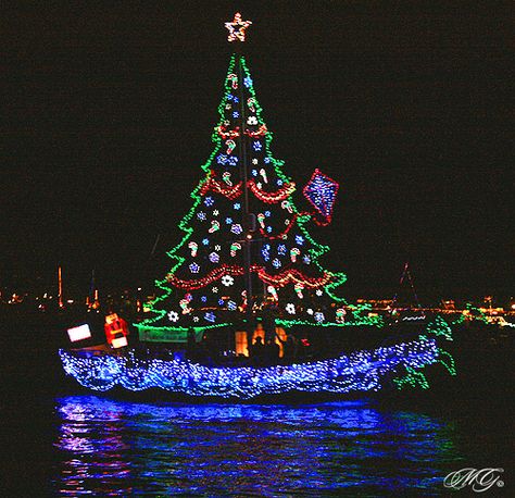 2009 Newport Beach Christmas Boat Parade 2 by Marcie Gonzalez, via Flickr Christmas Boat Parade, Boat Parade, Christmas Displays, Southern Christmas, Lights Ideas, Boat Decor, Beachy Christmas, Nautical Christmas, Blue Lights