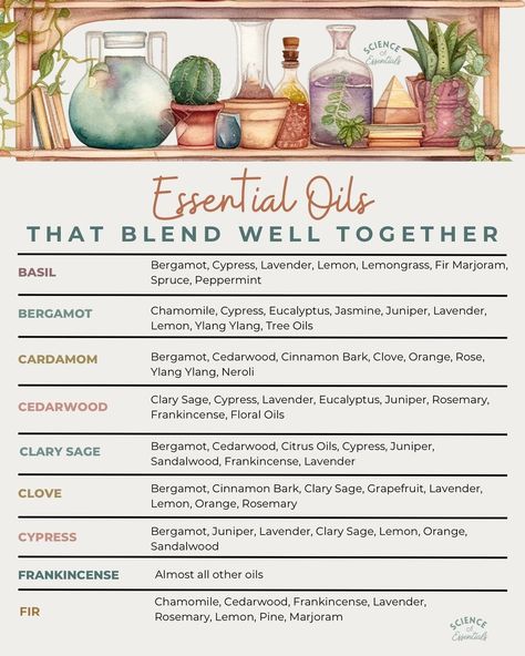 Chinese medicine • Instagram Essential Oils Uses Chart, Essential Oil Chart, Essential Oil Perfumes Recipes, Essential Oil Combinations, Essential Oils 101, Ayurvedic Healing, Essential Oils Guide, Essential Oils Herbs, Essential Oil Plants