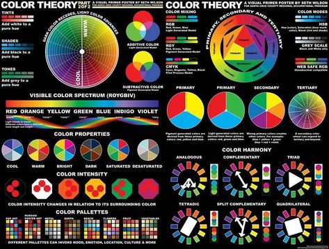 Detailed Color Theory Infographic Additive Color, Subtractive Color, Color Theory Art, Draw Tutorial, Hue Lights, Hue Color, Color Spectrum, Color Harmony, Color Wheel