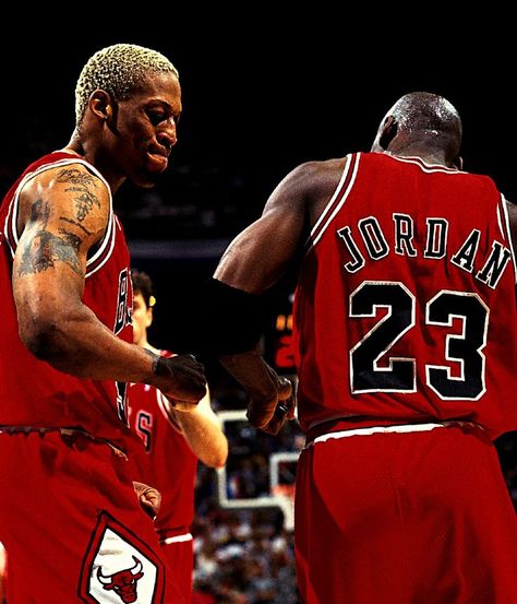 Dennis Rodman y Michael Jordan / Cuando ambos jugaron para los BULLS .... Basketball Legends Michael Jordan Washington Wizards, Kobe Bryant Michael Jordan, Basketball Rules, Michael Jordan Photos, Jeffrey Jordan, Michael Jordan Pictures, Michael Jordan Chicago Bulls, Michael Jordan Basketball, Jordan Basketball