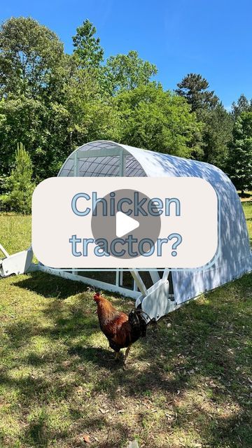 Natalie 🐓 Backyard Chicken Hoop Coop on Instagram: "A chicken tractor is a moveable coop that allows your flock to enjoy fresh grass and bugs every day. 🌿🌞 It’s a game-changer for chicken keepers!   Our Hoop Coop is the perfect example! Easy to move, cost-effective, and our design makes it easy to build!🛠️  📹 Check out our free build video to learn how you can build your own.   🛠️If you want to take the guesswork out of planning our downloadable plans are available for purchase!   💬Comment “video” to get the links in DM + follow @CottonRiverFarm to learn more!  🚨Some accounts won’t accept DMs from accounts they don’t follow. If you don’t get the link, send me a DM!  🐓Follow @CottonRiverFarm for easy homesteading and chicken keeping tips!  See you on the farm! - Natalie  #hoopcoopc Hoop Coop Plans, Easy Homesteading, Moveable Chicken Coop, Chicken Tractor Plans, Hoop Coop, Chicken Keeping, Chicken Tractor, A Chicken, On The Farm