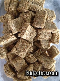 Nutballs for squirrels!! Squirrel Treats Recipes, Baby Squirrel Care, Upset Stomach Remedy, Stomach Remedies, Flea Shampoo For Cats, Squirrel Food, Angora Cats, Horse Care Tips, Upset Stomach