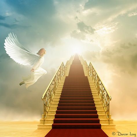 †MIGHTY WARRIOR BLOG † THE POWER OF PRAYER: Open Door of Communion Heaven Images, Heaven Pictures, Heaven Wallpaper, Stairs To Heaven, Heaven's Gate, Heaven Art, Way To Heaven, Prophetic Art, Book Cover Illustration