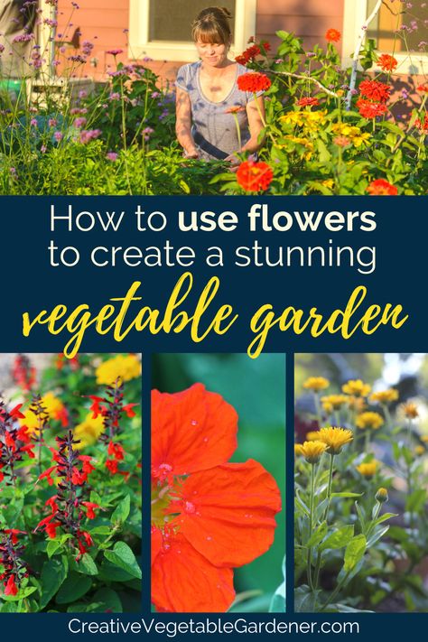 Garden With Veggies And Flowers, Mixed Flower And Vegetable Garden Raised Beds, Vegetable Garden Border Ideas, Flower And Veggie Garden Ideas, Vegetable And Flower Garden Design, Beautiful Veggie Garden, Mixed Flower And Vegetable Garden, Veggie And Flower Garden Layout, Flowers And Vegetables Planted Together