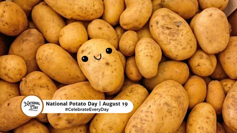 🥔 August 19th is National Potato Day!
https://www.nationaldaycalendar.com/national-day/national-potato-day-august-19
#CelebrateEveryDay #NationalPotatoDay #PotatoDay National Potato Day, National Day Calendar, Growing Potatoes, August 19, National Day, Center Stage, Vitamin C, Potato, Beautiful Colors