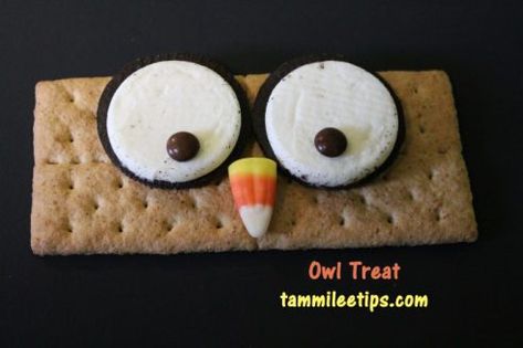 Owl Treat Food Crafts For Kids, How To Make Graham, Owl Snacks, Owl Treats, Owl Food, Cinnamon Sugar Pretzels, Owl Birthday Parties, Edible Crafts, Preschool Snacks