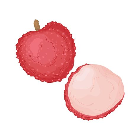 Lychee summer cartoon fruit tropical ber... | Premium Vector #Freepik #vector #litchi #lychee #fruit-background #red-berries Lychee Drawing, Lychee Illustration, Lychee Vector, Pink Diet, Litchi Fruit, Fruit Background, Mogu Mogu, Lychee Fruit, Christmas Tree Drawing