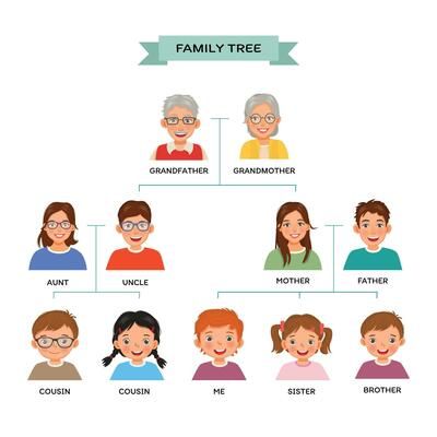 Diagram showing three generation family tree 2861297 Vector Art at Vecteezy Family Tree Clipart, Tree Clipart, Family Tree, Vector Art, Vector Free, Clip Art, Art