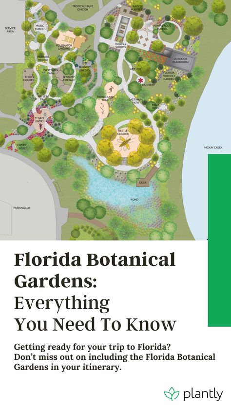 Getting ready for your trip to Florida? Don’t miss out on including the Florida Botanical Gardens in your itinerary. This botanical garden is a whopping 100-acre land that’s home to a wide variety of flora, fauna, and natural resources. Florida Botanical Gardens has a lot to offer. And we’ll give information on navigating the place and making that experience one for the books. #greenspace #urbanjungle #plantdecor #plantpropagation #plantcuttings #plantlife Gardening In Florida, Garden In Florida, San Felix, Outdoor Bridges, Florida Botanical Gardens, Trip To Florida, Bamboo Outdoor, Native Plant Gardening, Sensory Garden