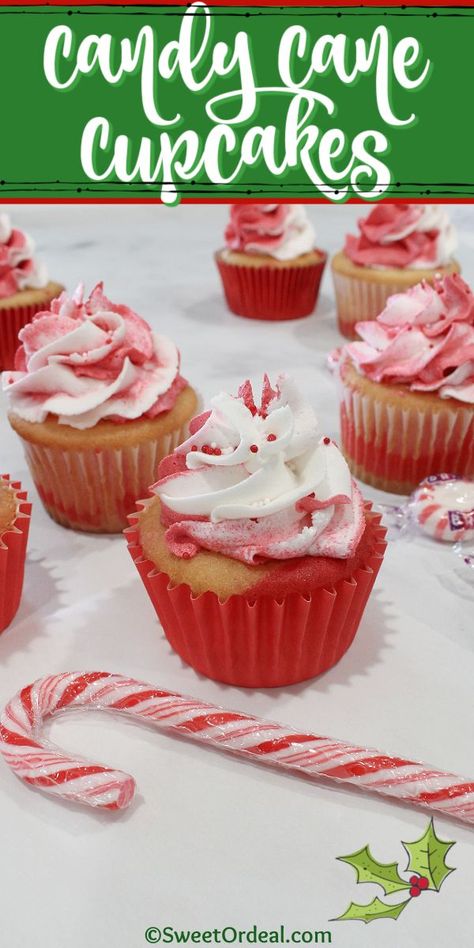 Festive red and white cupcakes flavored with a hint of peppermint for seasonal fun. Red And White Cupcakes, Candy Cane Cupcakes, Peppermint Cupcakes, Cinnamon Cupcakes, Christmas Cupcakes Recipes, Boozy Cupcakes, Christmas Dessert Table, Swirl Cupcakes, Cupcake Mix