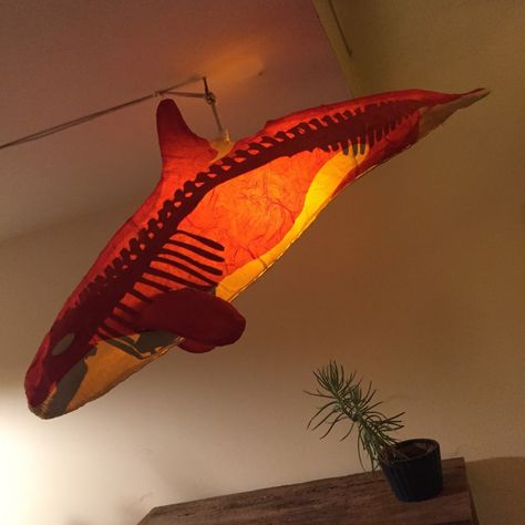 Weird Decor Ideas, Orca Decor, Orca Skeleton, Random Objects Aesthetic, Strange Decor, Weird Decor, Fish Lamp, Spotify Apple, Dream House Decor