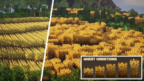 Crop Field Minecraft, Farmers Delight Minecraft, Minecraft Outdoor Ideas, Minecraft Textures, Minecraft Texture Pack, Minecraft Addons, Minecraft Farm, Minecraft Cottage, Diy Minecraft