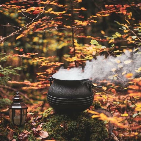 Samhain Ritual, Autumn Witch, Autumn Rain, Witch Magic, Season Of The Witch, Witch Aesthetic, Witch Art, Autumn Cozy, Samhain