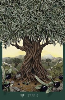 Olive Tree Painting, Earth View, Tree Inspiration, Tree Woman, Tree Images, Graduation Project, Closer To Nature, Olive Tree, Tree Painting