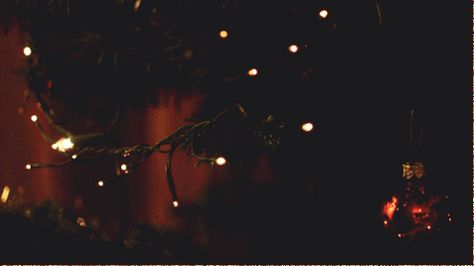 Twinkling Christmas tree lights Xmas Gif, Snow Gif, Gif Background, Christmas Tree Wallpaper, Hanging Christmas Lights, Merry Christmas Gif, Dark Tree, Dark Christmas, Banner Gif