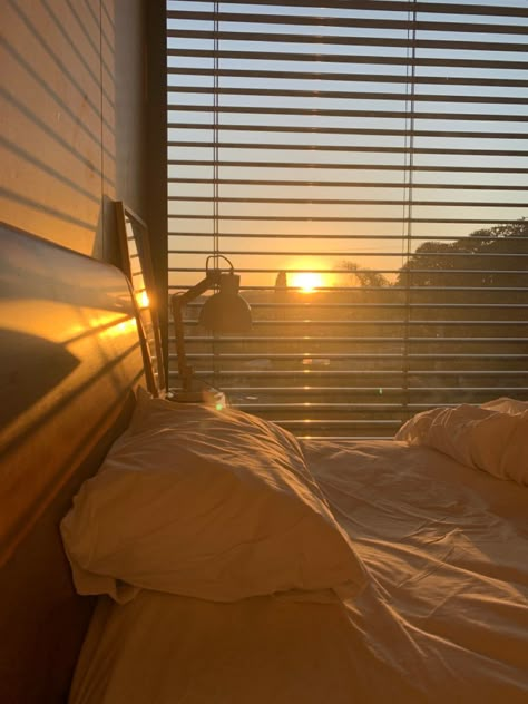 Sunlit Room Aesthetic, Sunrise Bedroom Aesthetic, Morning Bedroom Aesthetic, Window Room Aesthetic, Sunny Room Aesthetic, Sunrise Through Window, Offices Aesthetic, Sunlit Room, Budget Friendly Living Room