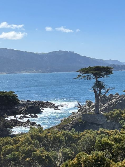 Pebble Beach Aesthetic, Monterey California Aesthetic, Monterey Aesthetic, Pch Road Trip, Lone Cypress, California Aesthetic, Ocean Nature, Monterey California, Different Cities