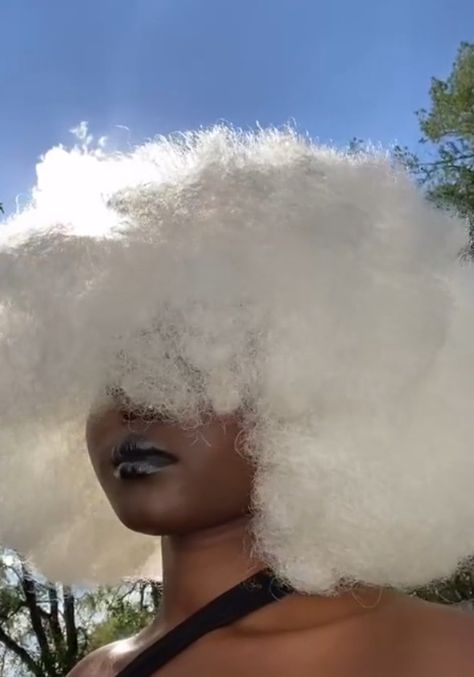 White Hair On Dark Skin, White Afro Hair Black Women, Black Women With White Hair, Black Skin White Hair, White Hair Afro, White Afro Hair, White Hair Curly, Curly White Hair, White Hair Dark Skin