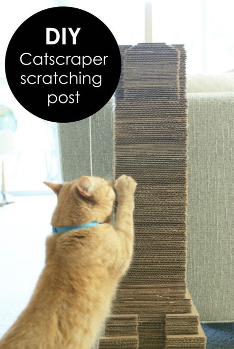 20 Purrfect DIY Projects for Cat Owners Wall Cat Scratcher, Diy Jouet Pour Chat, Diy Cat Scratching Post, Diy Chat, Kat Diy, Chat Diy, Cardboard Cat, Cardboard Cat Scratcher, Diy Cat Toys