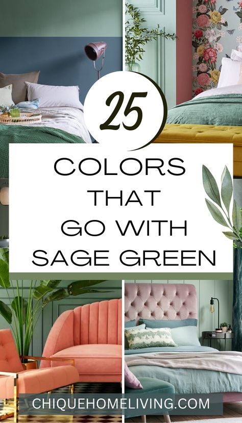 Sage Kitchen Living Room, Simple Home Painting Ideas, Colors That Go With Sage Green Bedding, Colours That Go Well With Sage Green, Complimentary Color Sage Green, What Color Compliments Sage Green, Colors That Go Together With Green, Sage Color Decor, Sage Colored Kitchen Walls