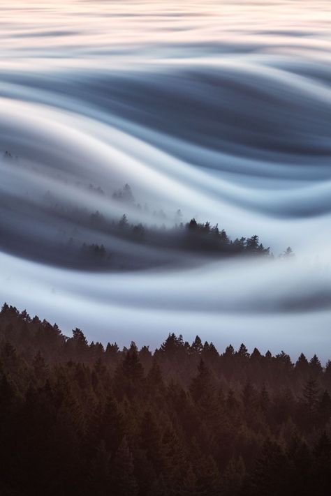 brouillard du matin balayant le mont Tamalpais dans le comté de Marin, en Californie. La région est souvent brumeuse pendant les mois d'été, lorsque l'air chaud à l'intérieur des terres et l'air frais de l'eau entrent en collision. Motion Photos, Healing Nature, Sea Clouds, Long Exposure Photography, Photography Inspo, Amazing Nature, Nature Photos, National Geographic, This Moment