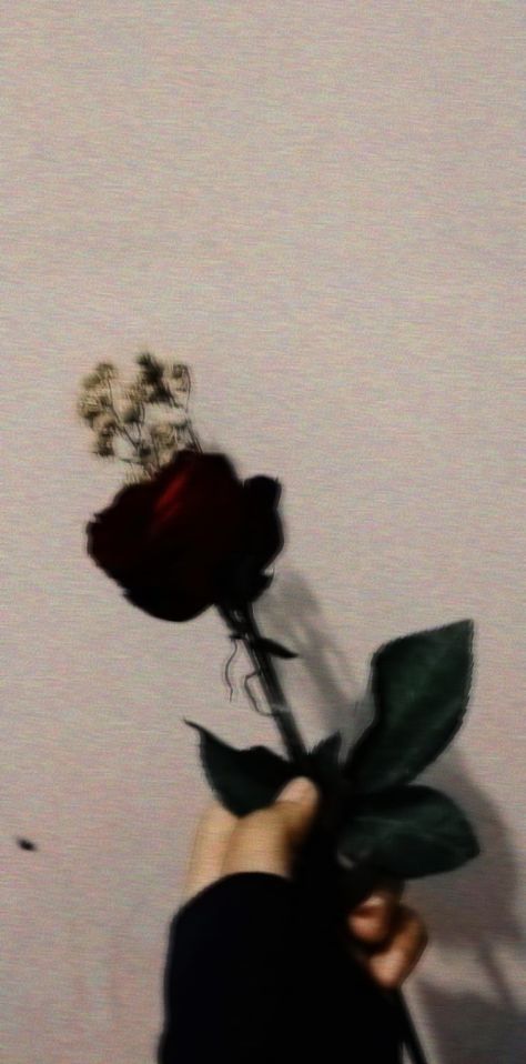 Mawar Aesthetic Dark, Be Your Self Wallpaper, Black Flowers Aesthetic, Self Wallpaper, Wallpaper Mawar, Boy Hair Drawing, Maroon Aesthetic, Be Your Self, Wallpaper Wa