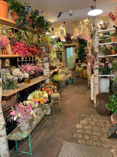 Honeysuckle Aesthetic, Flower Store Aesthetic, Flowers And Their Meanings, Dough Crafts, Flower Shop Interiors, Shop In Paris, Flower Cafe, Flower Shop Design, Future Shop