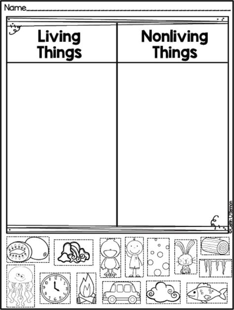 FREEBIE Living and Non-living Things sort! Pre-k Science, Living And Nonliving, 1st Grade Science, First Grade Science, Kindergarten Science, Preschool Science, Science Worksheets, Elementary Science, Living Things