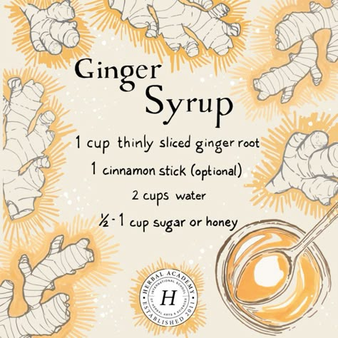 How To Make and Use Ginger Syrup | Herbal Academy | Ginger is a great herbal ally that should be part of every herbalist's medicine cabinet. Ginger syrup is one delicious way to use this herb in your home. Kitchen Witch Recipes, Magia Das Ervas, Ginger Syrup, Herbal Recipes, Herbal Apothecary, Herbal Healing, Herbal Magic, Kitchen Witch, Healing Herbs