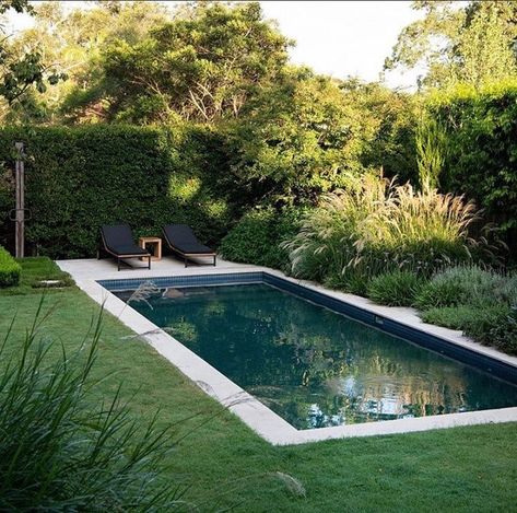 Small Luxury Backyard, Small Garden Pool, Small Outdoor Pool, Small Backyard Pool Ideas, Small Backyard Pool, Eco Outdoor, Simple Pool, Pool Ideas On A Budget, Backyard Pool Ideas