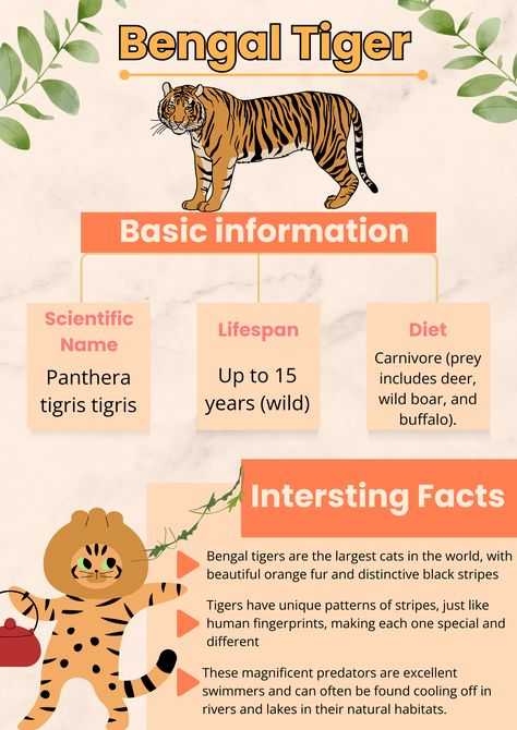 Animal infographic series#allaboutanimal#Animal#Tiger Tiger Species, Animal Infographic, Yellow Animals, List Of Animals, Bengal Tiger, Animals Wild, Collage, Animals, Pins