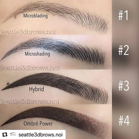 Ombre Microblading Eyebrows, Microblading Patterns, Phibrows Microblading Pattern, Microshading Eyebrows, Microblading Vs Microshading, Microblading Vs Ombre Eyebrows, Eyebrows Tattoo Microblading, Microblading Eyebrows Training, Microblading Information