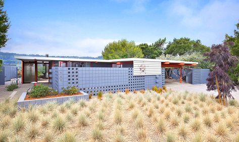 Eichler X-100 in Full Bloom | Eichler Network Atomic Ranch Exterior, House Of Tomorrow, Atomic Ranch, Black Floor Tiles, Mid Century Ranch, Ranch Exterior, Eichler Homes, Front Courtyard, Man Of The House