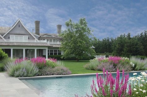 Hamptons Style Garden, Hamptons Landscaping, Hamptons Backyard, Hamptons Garden Landscaping, Hamptons Garden, Hampton Garden, Natural Fence, Pool Landscape Design, Farmhouse Garden