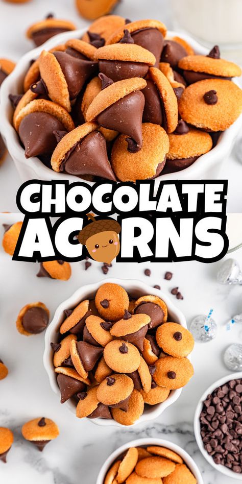 Fun chocolate acorn recipe Acorn Kisses, Chocolate Acorns, Festive Thanksgiving Desserts, Cute Thanksgiving Desserts, Thanksgiving Food Crafts, Acorn Cookies, Chocolate Covered Apples, Thanksgiving Snacks, Nilla Wafers