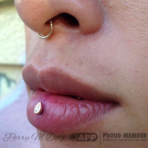 Legit Piercings (kik: @jipq) on Instagram: “Inverse vertical labret a.k.a Ashley piercing. By @perrymdoig featuring @bvla! #legit #piercings” Inverse Vertical Labret, Dainty Septum, Ashley Piercing, Vertical Labret, Hokey Pokey, Body Adornment, Body Modification, Body Jewelry Piercing, Lip Ring