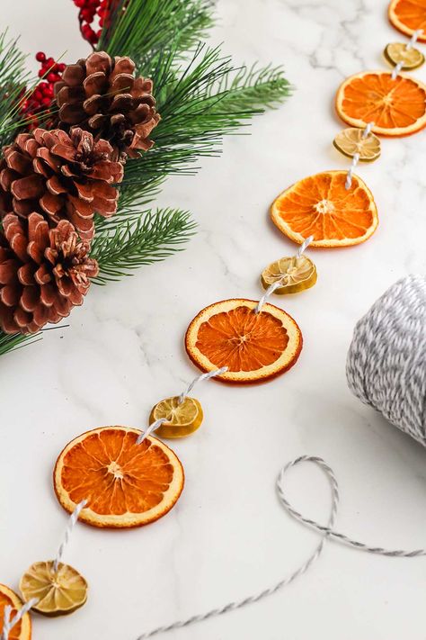 A homemade dried orange garland adds a touch of charm to your seasonal Christmas decorations and it's easy to make this DIY dried orange garland yourself, even if you don't often do craft projects. Once you know how to make a dried citrus garland, you will be able to introduce both seasonal scent and colour into your home. A garland of orange slices is great for decorating your Christmas tree or you could hang it on the wall, the back of a door or even on the banister. Dried Orange Garland Christmas, Dried Citrus Garland, Orange Christmas Decor, Citrus Garland, Diy Christmas Tree Garland, Dried Orange Garland, Orange Christmas Tree, Christmas Banister, Orange Garland Christmas